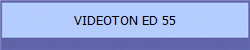 VIDEOTON ED 55